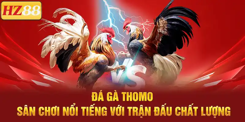 Đá Gà Thomo