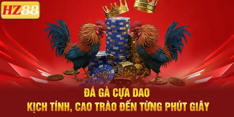 Đá Gà Cựa Dao